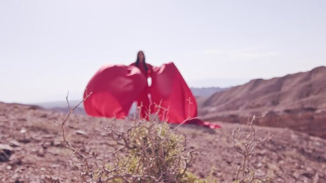 The girl in red over the canyon cliff. Slow motion.