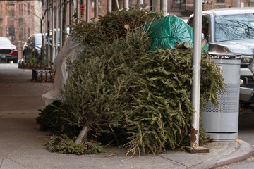 a pile of dead christmas trees on an urban street corner waiting to be picked up as trash