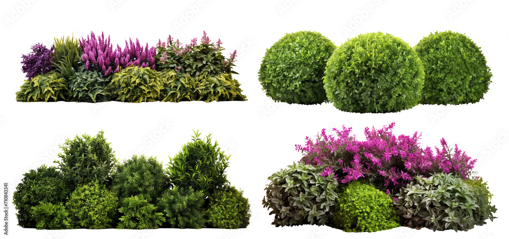 Wall mural Set of lush garden bushes cut out