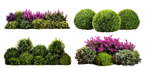 Set of lush garden bushes cut out