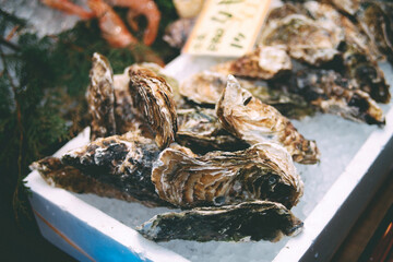 Oysters is the best of food