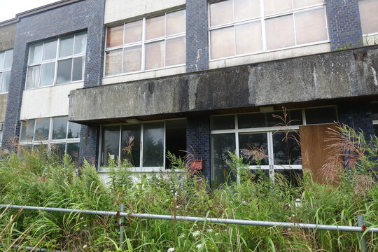 abandoned old school reclaimed by nature