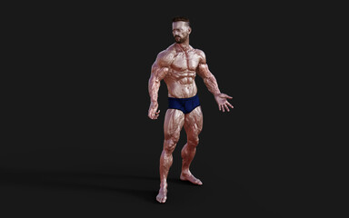 Fototapeta na wymiar 3d Illustration Shirtless guy in blue panties showing his muscular body. Bodybuilder man with clipping path.