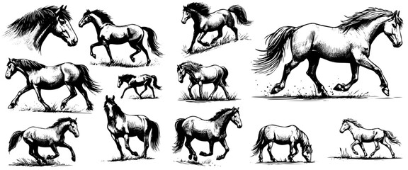 Obraz premium sketch set horses. Minimalism horse portrait and silhouette, stable animals single continuous line vector illustration set. Continuous linear design. Elegant characters running and standing