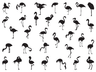Flamingo silhouette vector art white background