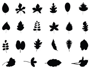 Leaves silhouette vector art white background