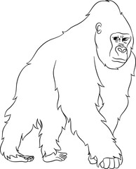 Gorilla Outline Vector Illustration