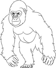 Gorilla Outline Vector Illustration