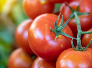 Tomatoes closeup background