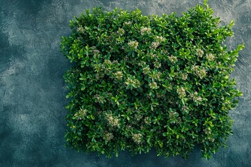 Enchanting Plant and Flower Pattern Wallpaper: Close Zoom, Detailed Leaves, Nature-Inspired Floral Elegance for a Stunning Aesthetic