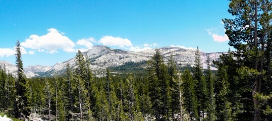 Valley of Yosemite National Park, California, United States