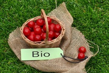 Ein Korb mit Bio Tomaten.