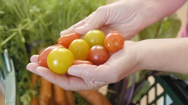 Des tomates cerises dans les mains