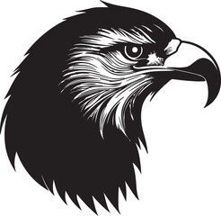 Eagle head silhouette, Vector artwork of Eagle head.