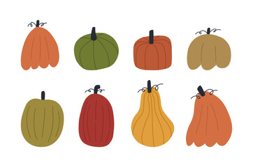 Set of different hand drawn pumpkins in cute flat style, vector illustration isolated on white background. Collection of various pumpkins, concepts of autumn, harvest and Thanksgiving.