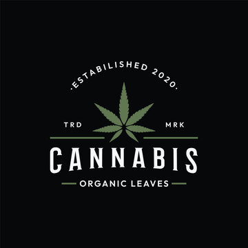 Premium quality cannabis organic plant logo retro vintage template design.