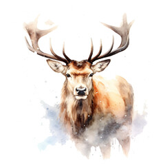 portrait deer with antlers in watercolor painting style isolated against transparent background