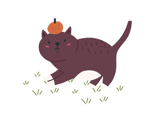 Cute cat with pumpkin on head, cartoon flat vector illustration isolated on white background. Halloween spooky cat. Funny childish drawing.