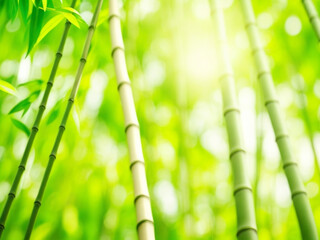 Obraz premium Abstract blur bamboo forest with sunligh ai image 