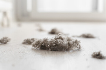 House dust on white floor, Home cleaning, Hygiene