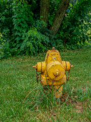Fire hydrant in the field