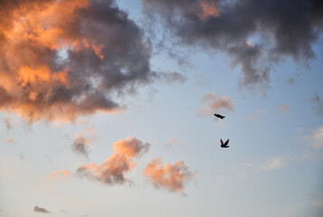 Atardecer con nubes 