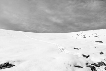 Black and white landscape of snow on a mountain with ski traces. Basque Country of Spain.