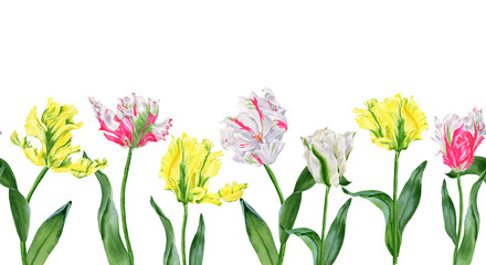 Flower banner. Seamless spring pattern. Watercolor white green tulip with bright pink and yellow. Hand drawn illustration isolated on transparent.