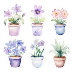 The image is a watercolor illustration of six potted flowers.