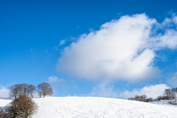 ig white cloud over a hill with snow. Basque Country Landscape. - 710903188