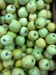 Composition of green apples with different shades of green