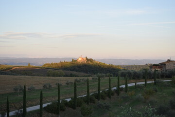 Fototapeta na wymiar Toscana landscape with vineyard