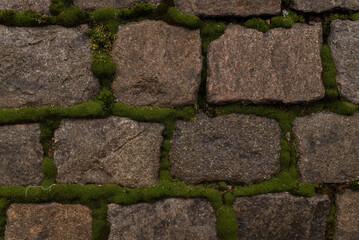 Stone wall texture. Background. Building