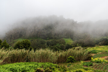 Misty afternoon above Porto Moniz in Madeira