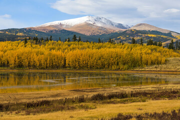 Autumn Mountain Pond - An Autumn view of a small pond surrounded by golden Aspen grove at base of snow-capped Mount Silverheels. Fairplay, Colorado, USA.