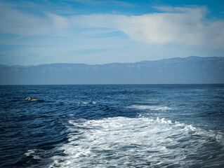 Channel Islands National Park California