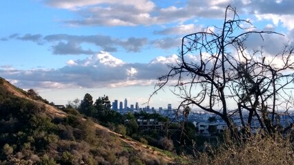 Panorama view of Griffith Park in Los Angeles, California. Photograph of a beautiful landscape....