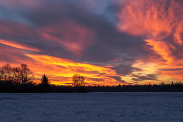 Colourful sunrise with glowing red clouds on a winter's day over the meadows and forests of...