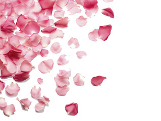 petalos de rosa sobre un fondo transparente, celebración de San Valentin, PNG, - obrazy, fototapety, plakaty