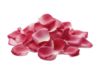 petalos de rosa sobre un fondo transparente, celebración de San Valentin, PNG,