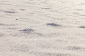 Sunny snow field texture background.