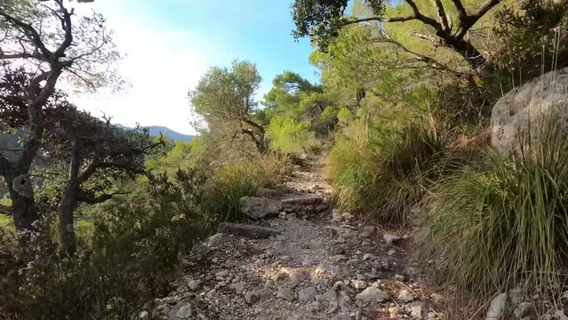 First person point of view (POV) walking on a lonely narrow path in the mountain surrounded by nature on the island of Majorca, Spain