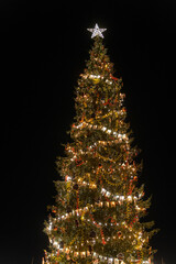A Christmas tree decorated and shining with lights in the city center