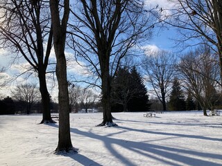 winter landscape with snow and trees