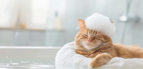Adorable cute pet taking a bath and covered in towel