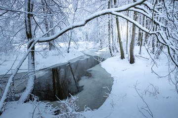 Winter landscape with a dark river against a background of white snow, trees near the river