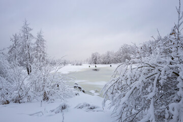 Photo of a winter landscape with snow-covered trees, bushes and a river. fishermen on winter fishing