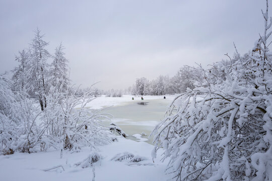Photo of a winter landscape with snow-covered trees, bushes and a river. fishermen on winter fishing