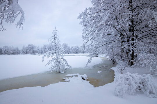 Photo of a winter landscape with snow-covered trees, bushes and a river.