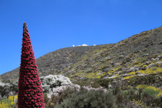 observatorio